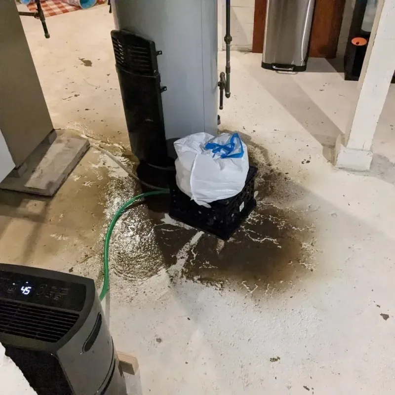 Sewage Backup Cleanup Service in Rutland, MA